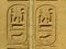 Ancient hieroglyphics on display outside Egyptian museum, Cairo