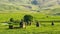 Ancient historical mausoleums complex of of the 16th century. District of Shemakhy city, Azerbaijan