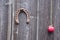 Ancient horseshoe and red apple on old wooden barn wall