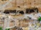 Ancient houses carved in the rock in Ginosa, Italy