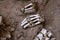 Ancient Human Bones - Hands and Vertebrae