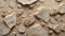 Ancient Impressions: Fossilized Limestone Texture. AI generate