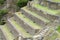 Ancient Inca archaeological terraces ruins Ollantaytambo near Cusco, Peru