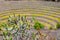 Ancient Inca circular agricultural terraces at Moray used to study the effects of different climatic conditions on crops.