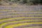 Ancient Inca circular agricultural terraces at Moray used to study the effects of different climatic conditions on crops.