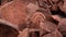 Ancient Indigenous Aboriginal Australians Rock Carvings in Dampier Archipelago Western Australia