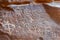 Ancient inscriptions at Khazali siq at Wadi Rum desert in jordan