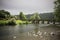 Ancient Irish bridge and village landscape