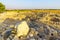 Ancient Israelite buildings remains, with landscape, in Tel Hazor