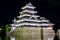 Ancient Japanese Castle at night (Matsumoto, Nagano