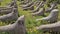 Ancient Jewish cemetery with old stone tombstones in sunny day