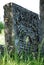 Ancient jewish gravestone with floral elements