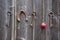 Ancient key, horseshoe and red apple on old wooden wall