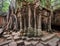 Ancient Khmer architecture. Ta Prohm temple at Angkor, Siem Reap, Cambodia