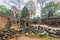 Ancient Khmer architecture. Ta Prohm temple at Angkor, Siem Reap, Cambodia