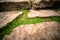 Ancient limestone paving and fresh grass, close