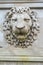 Ancient lion relief
