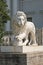 ancient lion sculpture made of stone. vertical shot of lion statue, travel in Europe, classic architecture and odl
