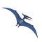 The ancient lizard pteranodon flies on white background