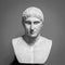 The ancient marble portrait bust