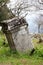 Ancient marble statue pedestal among the ruins of abandoned city Termessos in Turkey mountains