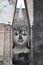 Ancient marvellous stone buddha head statue surrounding by triangle great stone wall at Wat Sri Chum, Sukhothai, Thailand