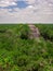 Ancient Mayan stone structure rising out of the jungle canopy at Calakmul, Mexico