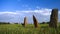 Ancient Megalith stela field in AxumEthiopia