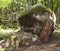 Ancient megalithic dolmen, Tuapse, Russia