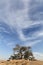 Ancient mesquite tree called as Tree of life, bahrain