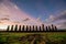 The ancient moai of Ahu Togariki, on Easter Island of Chile