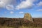 Ancient monolith in heather