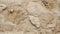 Ancient Mosaic: Fossilized Limestone Tapestry. AI generate