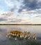 Ancient mud baths retreat clinic center on the coast of Kuyalnik Liman, known by it`s extremely healthy salt mud