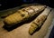 Ancient mummified crocodiles at Kom Ombo in Egypt.