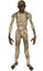 Ancient Mummy Standing