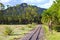 The ancient narrow gage railwayin tropical park, Mauritius