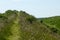 Ancient neolithic ditch and bank