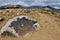 Ancient neolithic rock carvings depicting hunting ,Cholpon Ata, Issyk-Kul lake shore, Kyrgyzstan,Central Asia,unesco heritage