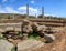 Ancient obelisks in city Aksum, Ethiopia