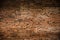 Ancient old brick wall decadent background