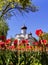 Ancient orthodox christian stone temple. Pskov, Pskov. The Church of St. Basil the Great on the Hill on a background of red tulips