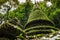 Ancient pagoda and beautiful moss, Alongkorn Chedi Pagoda located in tropical forest of Namtok Phlio National Park, Chanthaburi,