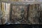 Ancient Paintings on caves ceiling at Ellora UNESCO world heritage