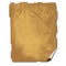 Ancient parchment texture