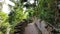 Ancient pathway through jungle in Thailand.