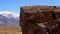 Ancient Petroglyphs at Chalfant Valley in the Eastern Sierra