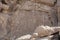 Ancient Petroglyphs on the Rocks at Yerbas Buenas in Atacama Desert in Chile