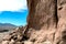 Ancient Petroglyphs on the Rocks at Yerbas Buenas in Atacama Desert, Chile, South America