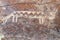 Ancient Petroglyphs on the Rocks at Yerbas Buenas in Atacama Desert, Chile, South America